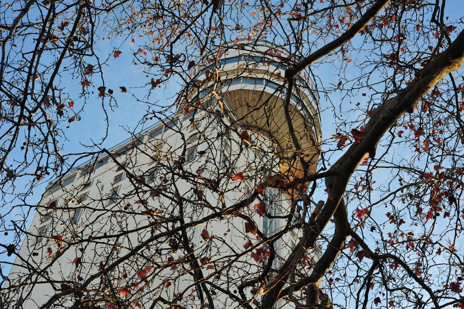 Frank Kambor Kunst und Fotografie Frankfurt am Main